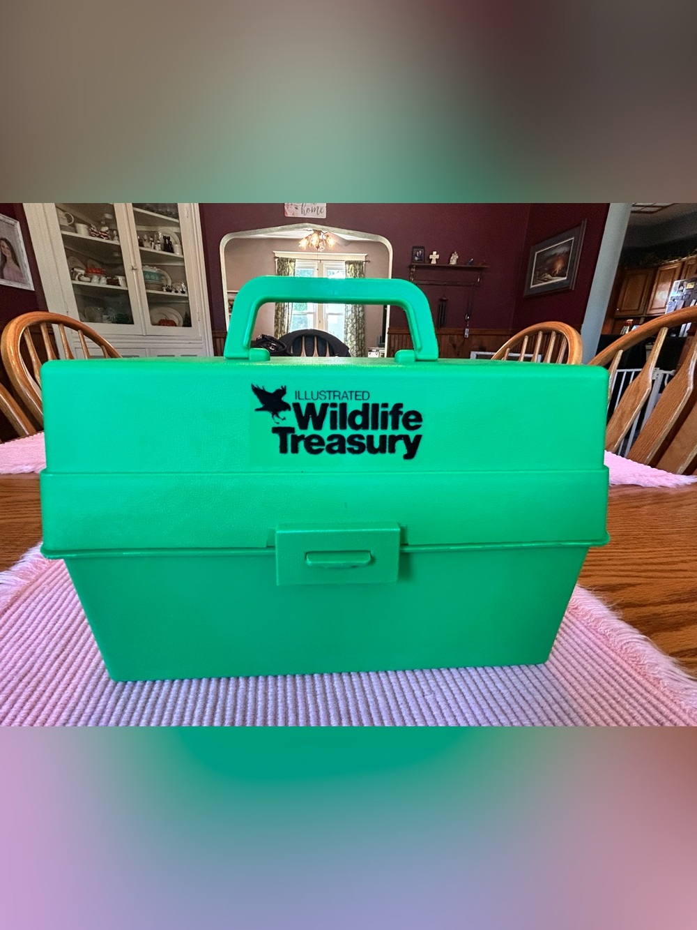 Illustrated Wildlife Treasury Green Carry Case with Animal Cards - Vintage 70's